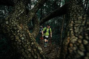 BIB: 
                            <button type="button" onclick="openModal(25692152)" class="btn btn-primary btn-sm float-right btn-popup" data-toggle="modal" data-target=".modal-high-quality">
                        <i class="fas fa-shopping-cart"></i> Add to Cart
                    </button>
                                            <button type="button" onclick="isThisMe(25692152, true)" class="btn btn-success btn-sm float-right btn-popup btn-isme hidden" data-toggle="tooltip" data-placement="bottom" title="นี่คือรูปของคุณใช่ไหม คลิกที่นี่เพื่อเอาเข้าอัลบั้ม">
                        <i class="fas fa-plus"></i> Add to album
                    </button>
                    <button type="button" onclick="isThisMe(25692152, false)" class="btn btn-warning btn-sm float-right btn-popup btn-isnotme hidden">
                        <i class="fas fa-ban"></i> Remove from album
                    </button>